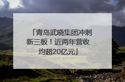 青岛武晓集团冲刺新三板！近两年营收均超20亿元