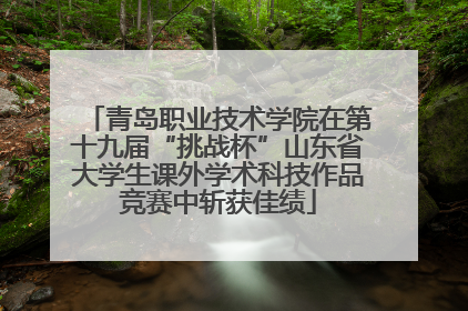 青岛职业技术学院在第十九届“挑战杯”山东省大学生课外学术科技作品竞赛中斩获佳绩
