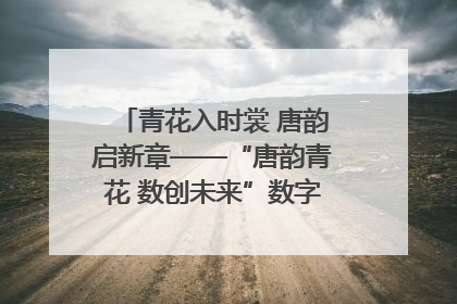 青花入时裳 唐韵启新章——“唐韵青花 数创未来”数字文创设计大赛启幕