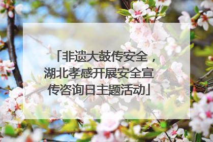 非遗大鼓传安全，湖北孝感开展安全宣传咨询日主题活动