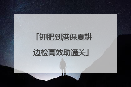 钾肥到港保夏耕 边检高效助通关