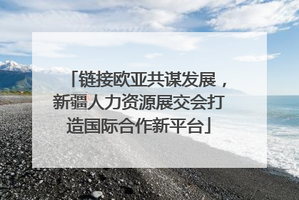 链接欧亚共谋发展，新疆人力资源展交会打造国际合作新平台