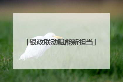 银政联动赋能新担当