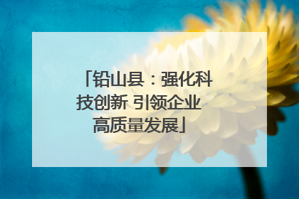 铅山县：强化科技创新 引领企业高质量发展