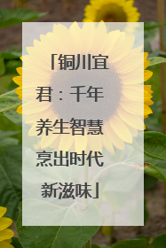 铜川宜君：千年养生智慧烹出时代新滋味