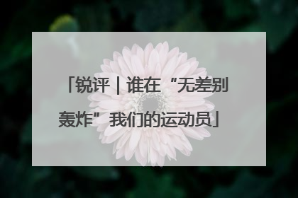 锐评｜谁在“无差别轰炸”我们的运动员