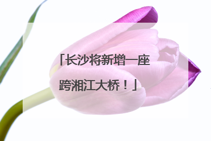 长沙将新增一座跨湘江大桥！