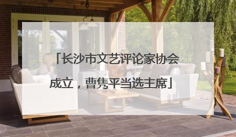 长沙市文艺评论家协会成立，曹隽平当选主席