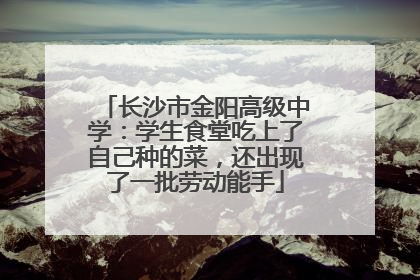 长沙市金阳高级中学：学生食堂吃上了自己种的菜，还出现了一批劳动能手