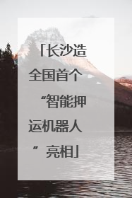长沙造全国首个“智能押运机器人”亮相