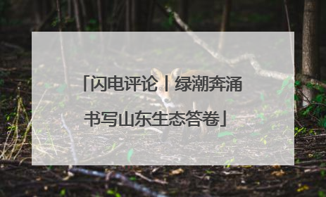 闪电评论丨绿潮奔涌 书写山东生态答卷