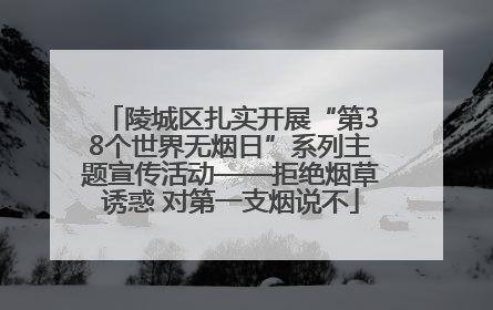 陵城区扎实开展“第38个世界无烟日”系列主题宣传活动——拒绝烟草诱惑 对第一支烟说不