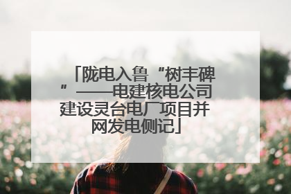 陇电入鲁“树丰碑”——电建核电公司建设灵台电厂项目并网发电侧记