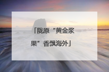 陇原“黄金浆果”香飘海外