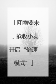 降雨要来，抢收小麦开启“倍速模式”