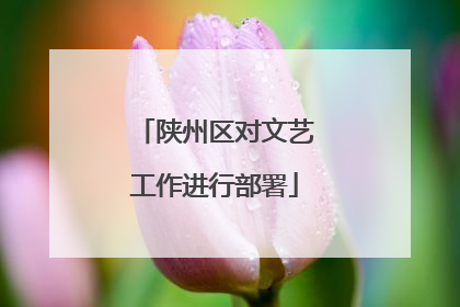 陕州区对文艺工作进行部署