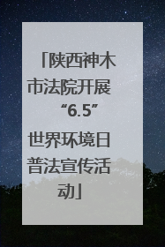 陕西神木市法院开展“6.5”世界环境日普法宣传活动