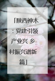 陕西神木：党建引领产业兴 乡村振兴谱新篇