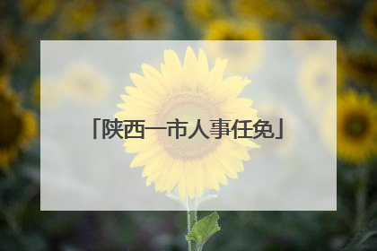 陕西一市人事任免