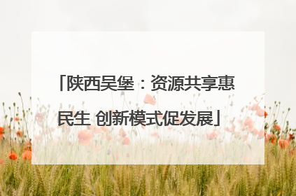 陕西吴堡：资源共享惠民生 创新模式促发展