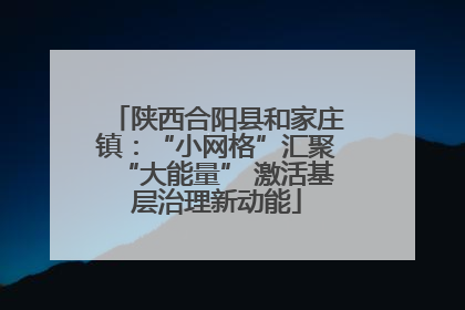 陕西合阳县和家庄镇：“小网格”汇聚“大能量” 激活基层治理新动能