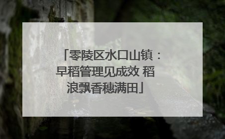 零陵区水口山镇：早稻管理见成效 稻浪飘香穗满田