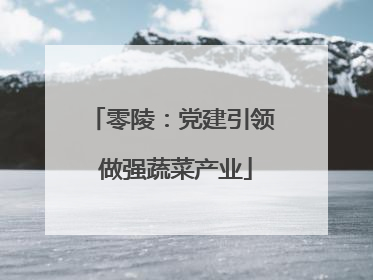 零陵：党建引领 做强蔬菜产业