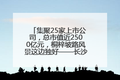 集聚25家上市公司，总市值近2500亿元，桐梓坡路风景这边独好——长沙有条“上市路”