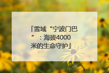 雪域“宁波门巴”：海拔4000米的生命守护
