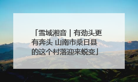 雪域湘音｜有劲头更有奔头 山南市桑日县的这个村落迎来蜕变