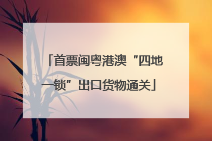 首票闽粤港澳“四地一锁”出口货物通关