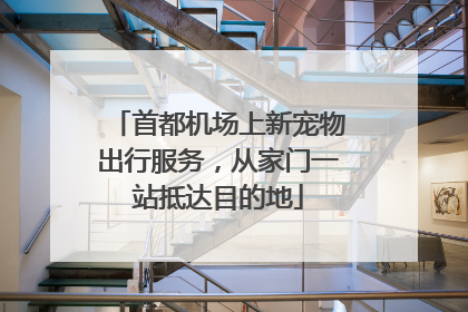 首都机场上新宠物出行服务，从家门一站抵达目的地