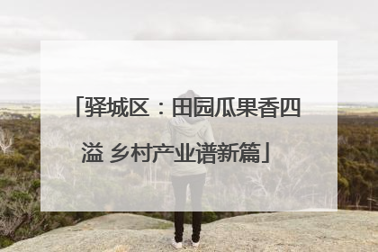 驿城区：田园瓜果香四溢 乡村产业谱新篇