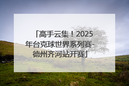 高手云集！2025年台克球世界系列赛-德州齐河站开赛