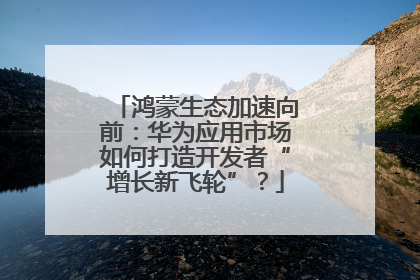 鸿蒙生态加速向前：华为应用市场如何打造开发者“增长新飞轮”？
