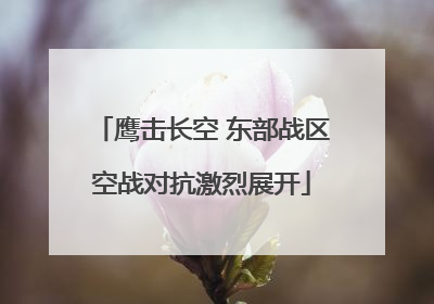 鹰击长空 东部战区空战对抗激烈展开