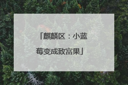 麒麟区：小蓝莓变成致富果