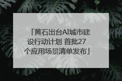 黄石出台AI城市建设行动计划 首批27个应用场景清单发布