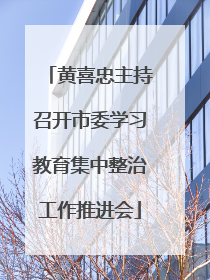 黄喜忠主持召开市委学习教育集中整治工作推进会