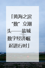 黄海之滨“数”立潮头——盐城数字经济崛起进行时