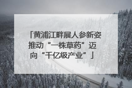 黄浦江畔展人参新姿 推动“一株草药”迈向“千亿级产业”