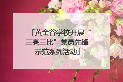 黄金谷学校开展“三亮三比”党员先锋示范系列活动