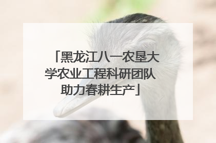 黑龙江八一农垦大学农业工程科研团队助力春耕生产