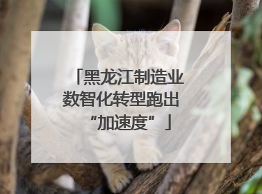 黑龙江制造业数智化转型跑出“加速度”