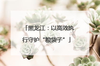黑龙江：以高效执行守护“粮袋子”