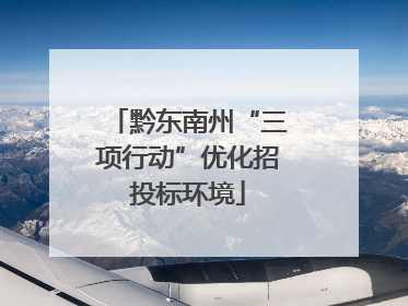 黔东南州“三项行动”优化招投标环境