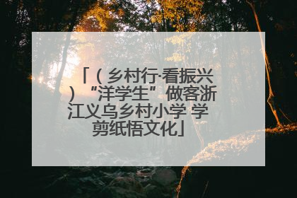 （乡村行·看振兴）“洋学生”做客浙江义乌乡村小学 学剪纸悟文化