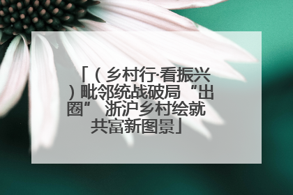 （乡村行·看振兴）毗邻统战破局“出圈” 浙沪乡村绘就共富新图景