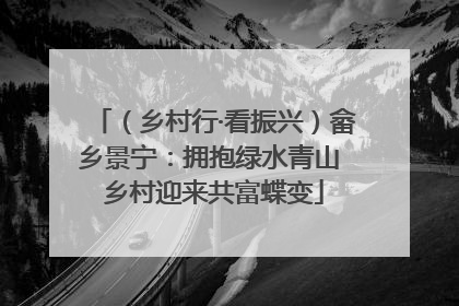 （乡村行·看振兴）畲乡景宁：拥抱绿水青山 乡村迎来共富蝶变