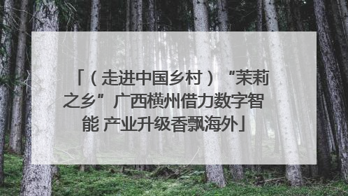 （走进中国乡村）“茉莉之乡”广西横州借力数字智能 产业升级香飘海外